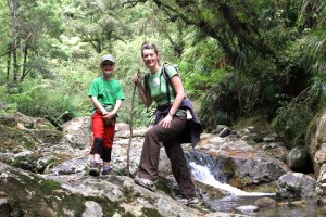 Wanderung durch Kauri-Wald