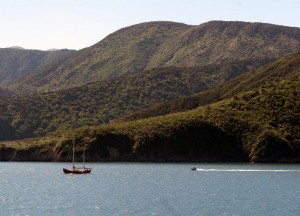 Einfahrt nach Picton