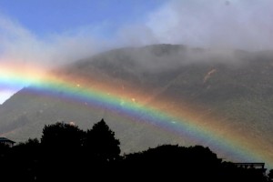 Am Morgen nach dem Regen